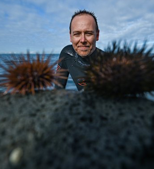 明天起, 可无限制捕捞! 澳洲海胆泛滥成灾, 政府求吃货快来!