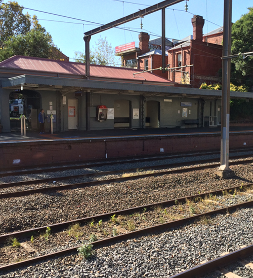 华人亲历! 关键时候, 澳洲快得很, 一点都不慢!