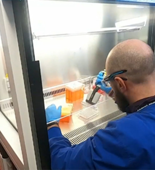 世界首创! 澳洲研发全新药物, 6900万人有救了! 成功治愈大脑损伤